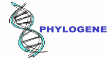 https://global-engage.dev-box.info/wp-content/uploads/2023/09/Phylogene logo.jpg
